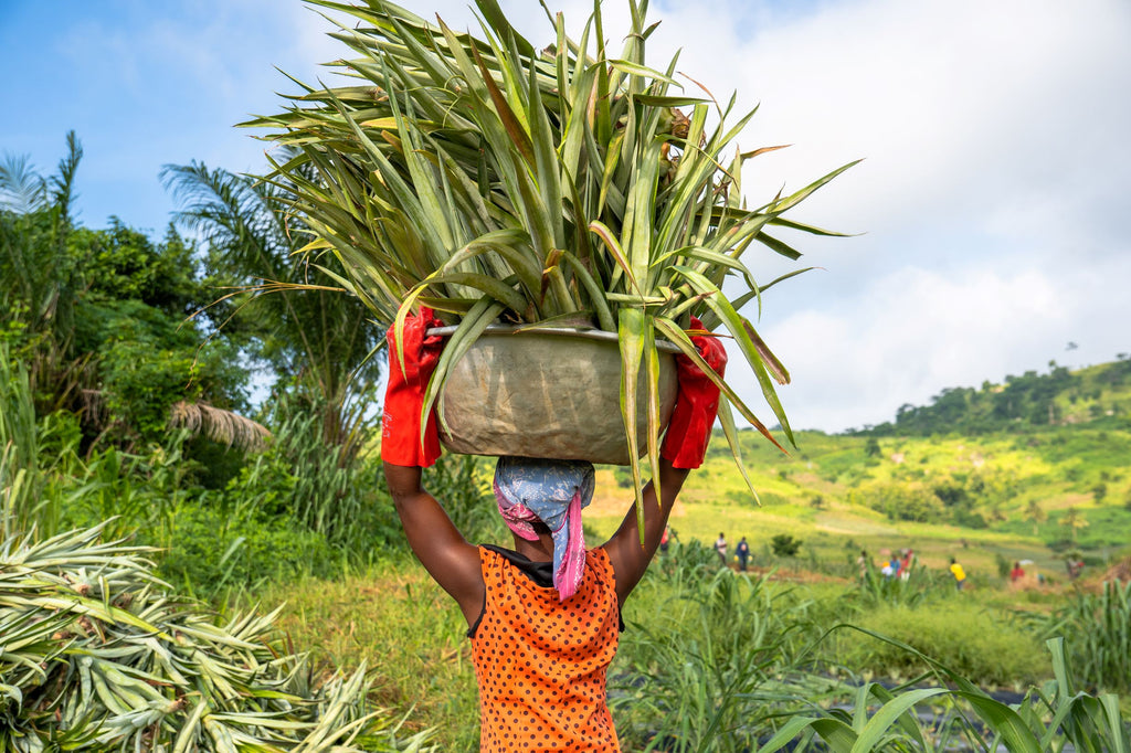 Farmers in Africa