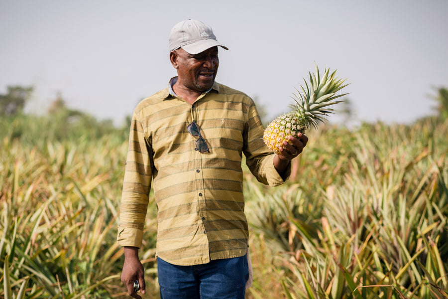Is organic dried pineapple good for you?