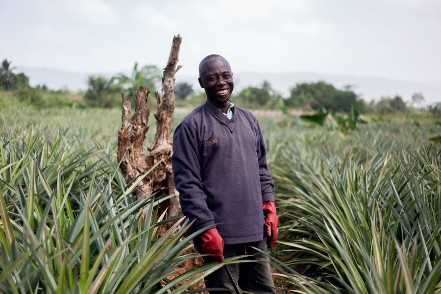 What exactly is Regenerative Agriculture?