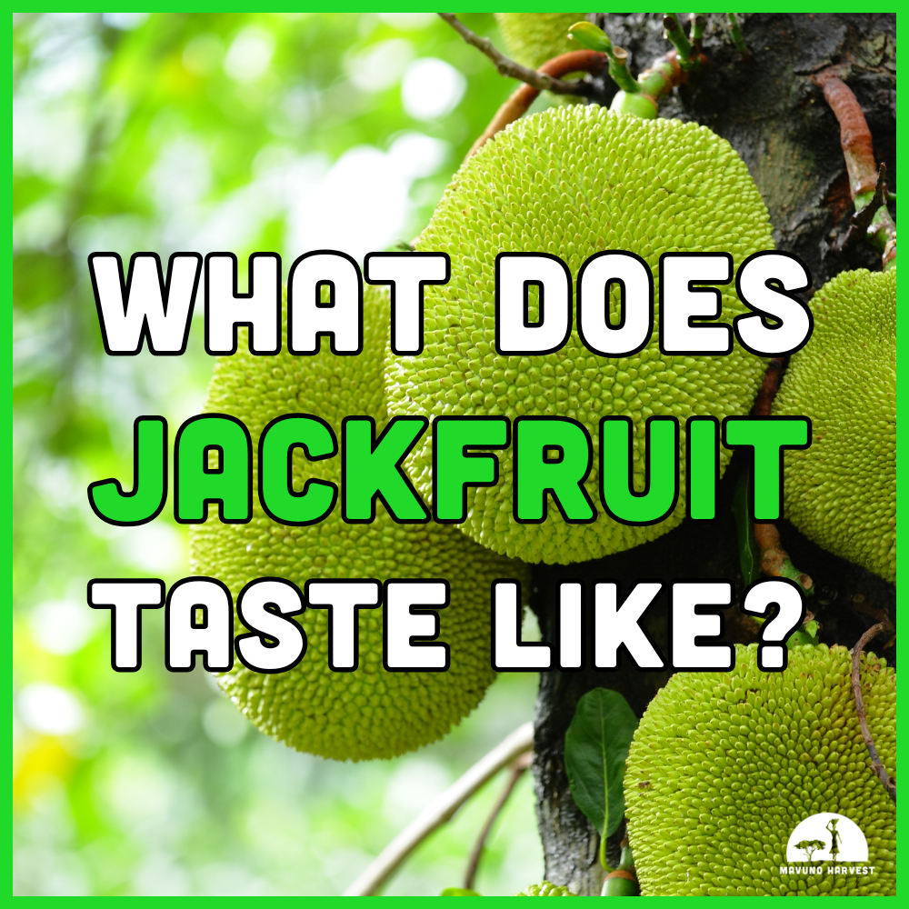 What Does Jackfruit Taste Like? Think Natural Bubble Gum