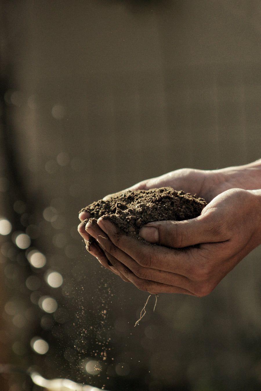 Embracing the Green Revolution: Sustainable Agriculture for a Healthier Planet