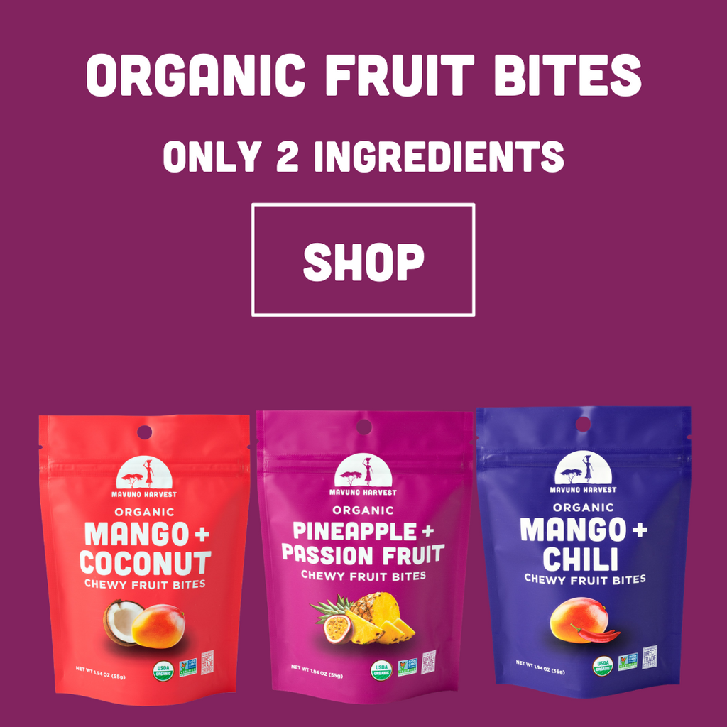 Organic Fruit Bites - Only 2 ingredients
