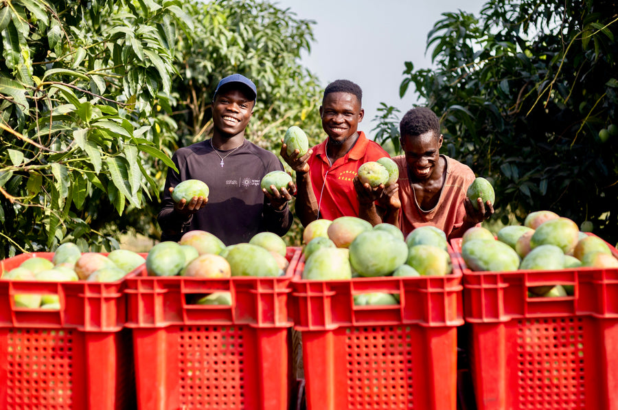 Mango farmers smiling with their harvest