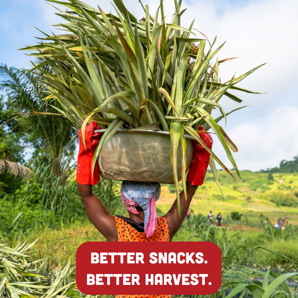 Better Snacks. Better Harvest.