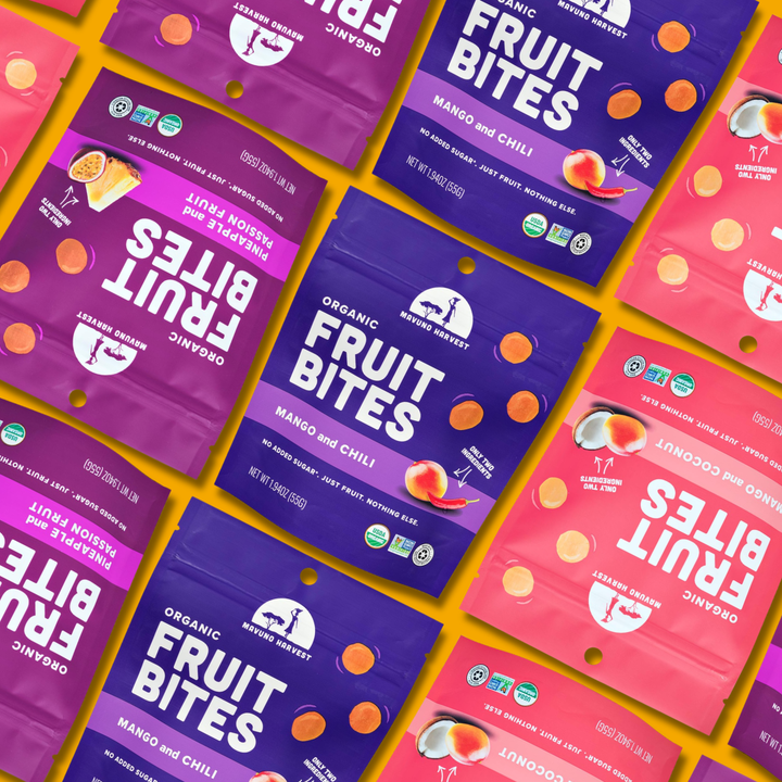 Fruit Bite Best Sellers Bundle - 24 bags assortment artwork